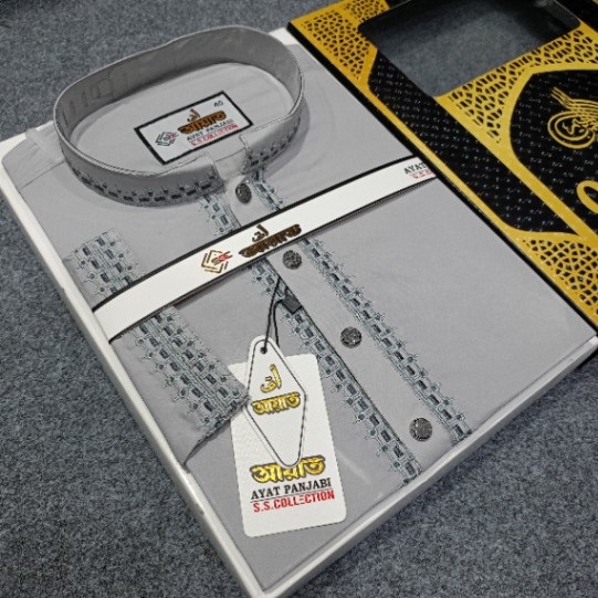 China  Micro Stitch Embroidery Work Panjabi-02